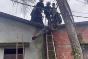 Tiếp cận đối tượng nghi “ngáo đá” trên mái nhà, một sĩ quan công an bị té, chấn thương nặng