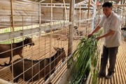 Điện Biên: Đồng hành cùng người nghèo, không để ai bị tụt lại phía sau