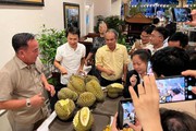HAGL sẽ gửi tặng sầu riêng, chuối cho cổ đông, nhờ chuối và lợn, công ty khẳng định vẫn đủ khả năng trả nợ