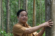 Thừa Thiên Huế: Kinh tế tập thể là “bà đỡ” cho nền kinh tế nhưng vẫn bị hoài nghi 