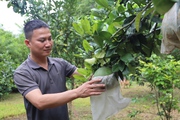 Nông dân Việt Nam xuất sắc 2023 đến từ Sơn La là một người làm du lịch nông nghiệp, vườn đẹp như phim
