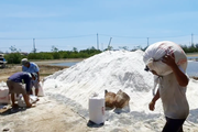 Địa phương duy nhất của TP.HCM ứng dụng nhiều kỹ thuật công nghệ sản xuất muối 