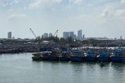 Chuẩn bị tiếp đoàn Thanh tra Ủy ban châu Âu (EC), Đà Nẵng triển khai loạt biện pháp mạnh chống khai thác IUU