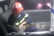 Xúc động chiến sĩ PCCC ôm bé trai lao ra từ vụ cháy, sơ cứu trên xe cấp cứu