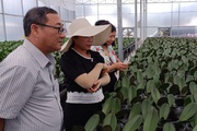 "Te tua" sau dịch Covid-19, một chị gái bỏ Sài Gòn về Lâm Đồng trồng hoa gì mà giờ thành tỷ phú?