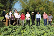 Hà Giang: Phát triển kinh tế - xã hội vùng đồng bào dân tộc thiểu số và miền núi