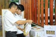 Rượu “nhân sâm của người nghèo” đạt chuẩn OCOP tìm đường ra quốc tế