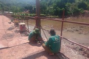 Điện Biên: Đưa cầu tạm trên quốc lộ 4H vào khai thác, sử dụng
