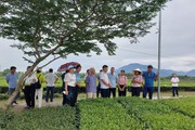 Quảng Ninh: Hội Nông dân Quảng Yên cùng nông dân sáng tạo vươn lên, phát triển kinh tế