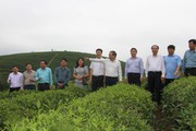 Chủ tịch Hội Nông dân tỉnh Nghệ An Nguyễn Quang Tùng lý giải sức hút lớn từ các phong trào của Hội trên địa bàn