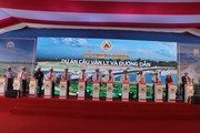 Quảng Nam đầu tư 575 tỷ đồng xây dựng cầu Văn Ly và đường dẫn qua sông Thu Bồn