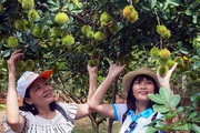 Nằm giữa 2 dòng sông thơ mộng lớn nhất miền Tây, cây trái xum xuê đến xem phát mê, là tỉnh nào của Việt Nam?