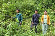 Lai Châu: Dân bản nghèo chung tay bảo vệ rừng