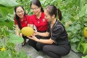 Về xứ Tuyên, theo chân dòng vốn ngân hàng