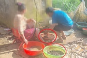 Thâm nhập vào “hang ổ” kích giun ở Sơn La: Tận mắt thấy “công xưởng” sấy khô giun đất của trùm “giun tặc” (Bài 4)