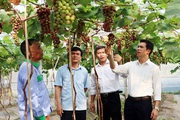 NTM Bắc Giang: Hiệp Hòa hướng tới xây dựng nông thôn mới thông minh