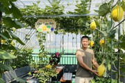 Vườn rau sân thượng “ăn quanh năm” của bố đảm Hà thành