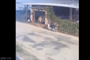 Clip NÓNG 24h: Ô tô tông văng người đàn ông trước cửa nhà ở Thái Nguyên rồi nhấn ga bỏ chạy