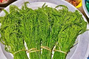Ở nơi này của Sơn La có một loại rau rừng nấu lên cả xóm ngửi mùi khó ưa, ăn lại ngon hơn cá thịt