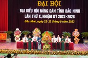 Phó Chủ tịch Hội NDVN Nguyễn Xuân Định gợi mở 5 vấn đề tại Đại hội đại biểu Hội Nông dân tỉnh Bắc Ninh