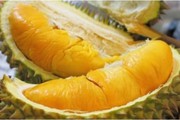 Giá sầu riêng ngày 23/9: Giá sầu Thái, sầu riêng Ri6 lại chẳng nhúc nhích