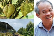 Cổ đông HAG chấp thuận phương án phát hành riêng lẻ 130 triệu cp giá 10.000 đồng/cp, 1.300 tỷ thu được để làm gì?