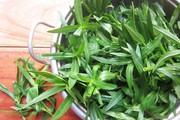 Loại rau gia vị được nhiều người biết đến, nhưng không phải ai cũng biết hết tác dụng