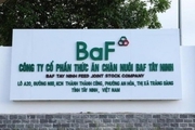 Thêm hai lãnh đạo BaF Việt Nam nộp đơn xin từ nhiệm