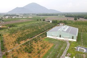 4 tài sản gắn liền với đất được cấp sổ đỏ năm 2023 người dân nhất định phải nắm được
