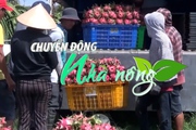 Chuyển động Nhà nông 5/9: Việc xuất khẩu thanh long Việt Nam sang Anh vẫn diễn ra bình thường