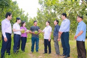 Trên 1.100 hội viên, nông dân tỉnh Khánh Hòa vươn lên thoát nghèo
