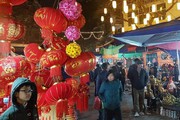 Chợ hoa Hàng Lược rực rỡ muôn màu, chưa đi là chưa thấy Tết Hà Nội