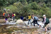 Mùa xuân “ngộ” giữa núi rừng