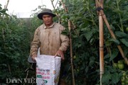 Xã cuối cùng về đích nông thôn mới của huyện Đức Trọng