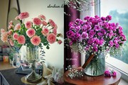 Xao xuyến với những bình hoa rực rỡ đượm hương dịp Tết