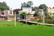 Không xử lý xong nợ, xem lại việc công nhận đạt chuẩn NTM
