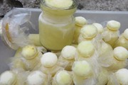 Sản xuất sữa ong chúa sạch thu trăm triệu đồng mỗi năm