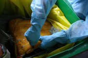 TP. HCM Tiêu hủy 14 tấn vú heo “thối” trị giá gần 1 tỷ đồng