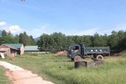 Phú Thọ: Nhiều doanh nghiệp thuê hàng vạn m2 đất rồi… bỏ hoang?!