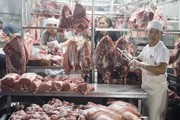 Giá heo hơi miền Nam vừa tăng đã giảm mạnh, dân bất an vì dịch tả