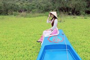 An Giang: Rừng tràm Trà Sư đẹp như tranh trong mùa nước nổi