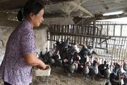 Bứt phá cán đích nông thôn mới, Noong Hẹt "thay da đổi thịt"