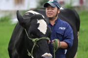 Kỳ công nuôi tạo “Hoa hậu bò sữa”