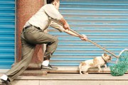 Tiêm phòng triệt để cho đàn chó nuôi