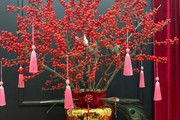 Kỳ lạ hoa đào đỏ au bán gần triệu đồng một cành dịp Tết Dương lịch