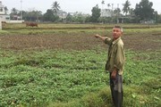Thanh Hóa: Hơn 200 ha đất nông nghiệp “khát” trước vụ chiêm Xuân
