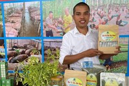 Anh nông dân ở Hòa Bình biến hàng vạn cây đu đủ đực thành trà dược liệu