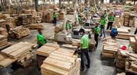 Bình Dương: Doanh nghiệp cần 50.000 lao động để trở lại hoạt động sản xuất