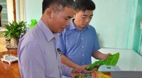 Tuyên Quang: Nông dân Việt Nam xuất sắc 2021 giúp hàng nghìn hộ phát tài nhờ nghề nuôi trâu, nuôi bò vỗ béo 