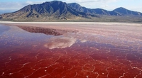 Hồ nước chết chóc nhất thế giới, đỏ như máu, biến xác động vật hóa đá